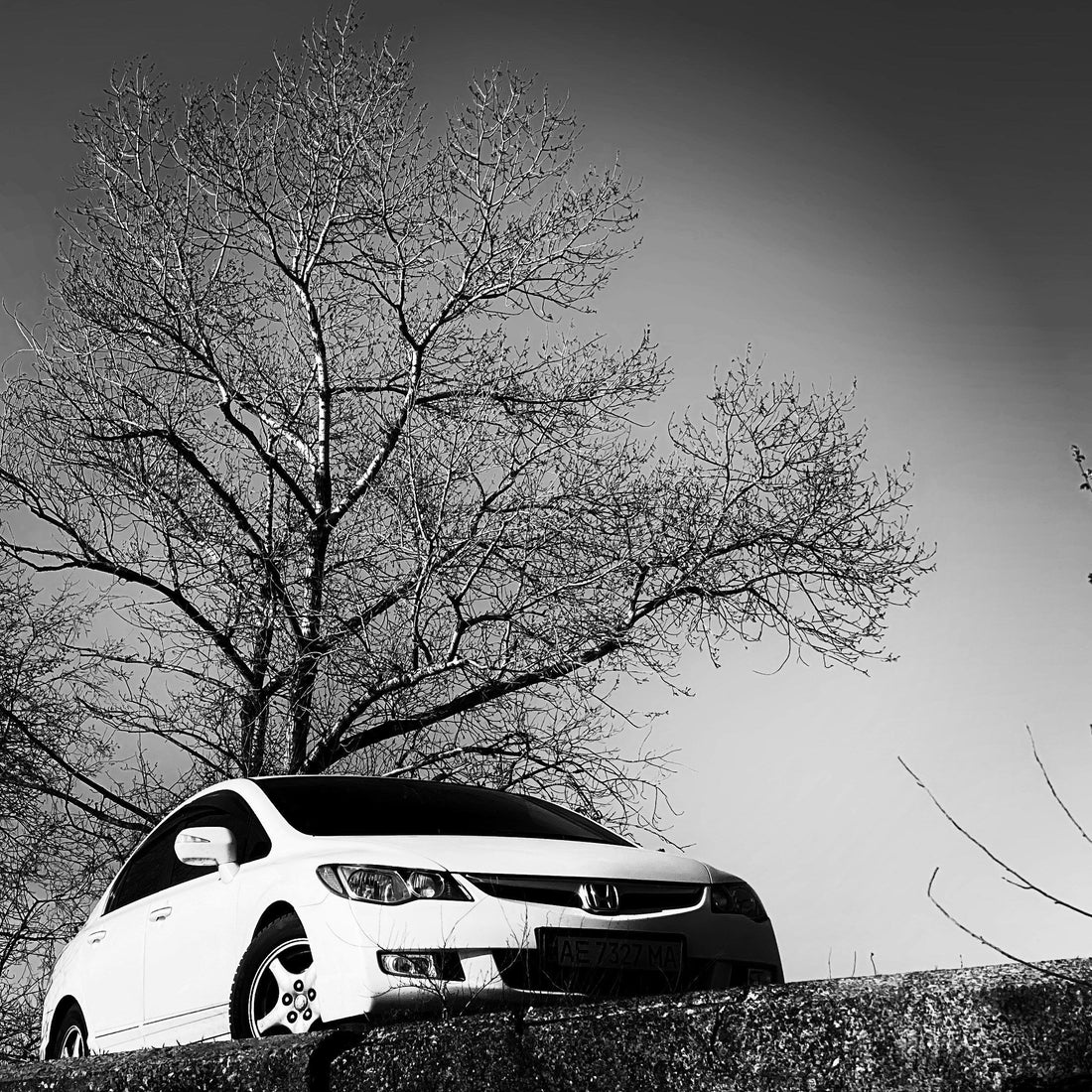 car sun shades for tinted windows